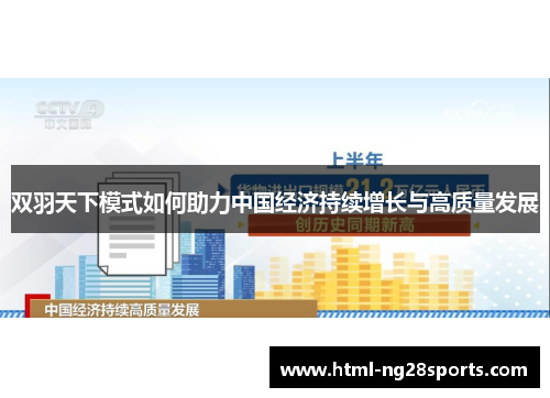 双羽天下模式如何助力中国经济持续增长与高质量发展