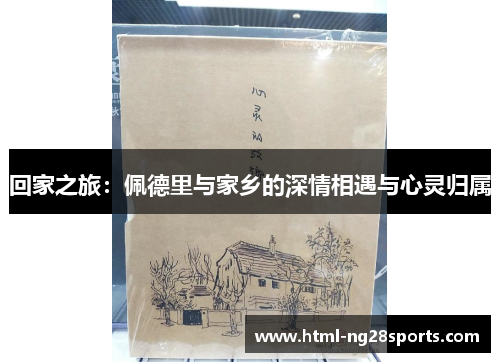回家之旅：佩德里与家乡的深情相遇与心灵归属